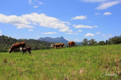 181 Kunghur Creek Rd, Kunghur Creek, NSW 2484