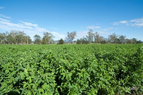 Property photo of 250 Blairmore Lane Aberdeen NSW 2336