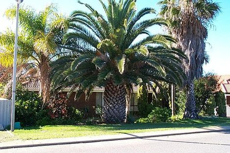 Property photo of 45 Conus Way Sunset Beach WA 6530