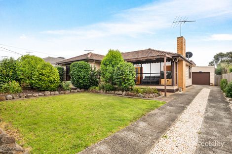 42 Nagle Dr, Belmont, VIC 3216