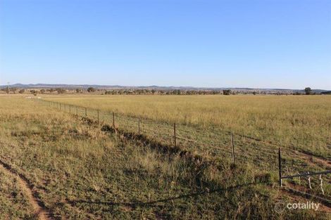 Property photo of 460 Patrick Road Dunedoo NSW 2844