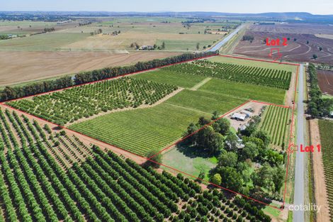 Property photo of 60 Stringer Road Corbie Hill NSW 2705