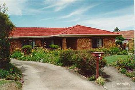 Property photo of 7 Pandala Court Carseldine QLD 4034