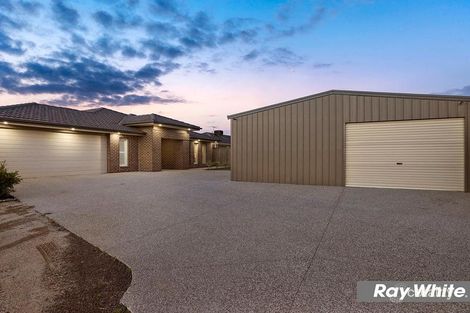 Property photo of 11 Zizina Avenue Tarneit VIC 3029