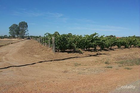 225 Lennard St, Herne Hill, WA 6056