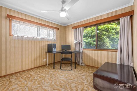 Property photo of 25 Cornflower Street Mansfield QLD 4122