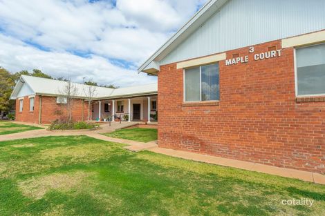 Property photo of 1/3 Maple Street Leeton NSW 2705