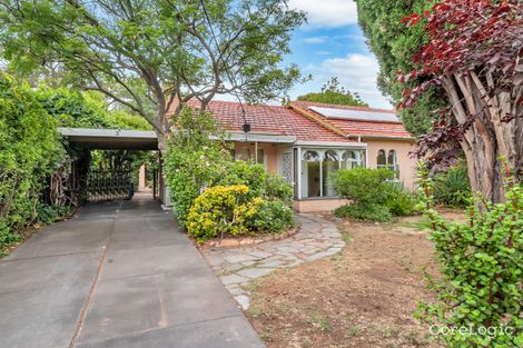 3 Bassi St, Marion, SA 5043