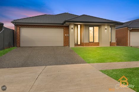 50 Riverside Con, Cobblebank, VIC 3338