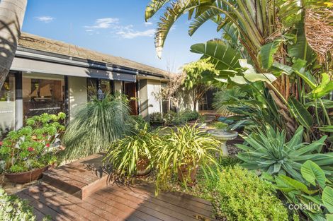 6 Adamson St, Brighton, VIC 3186