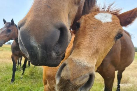 Property photo of 1094 Brand Highway Chittering WA 6084