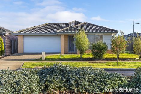 Property photo of 51 Welcome Parade Wyndham Vale VIC 3024