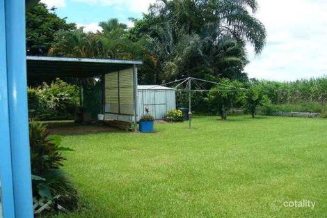 Property photo of 74 River Avenue Mighell QLD 4860