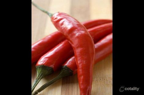 13/885 Albany Hwy, East Victoria Park, WA 6101