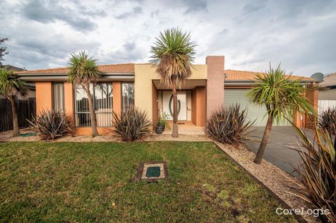 Property photo of 74 Cedar Street Harrison ACT 2914