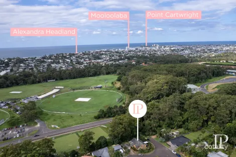 Property photo of 31 Iliad Avenue Buderim QLD 4556