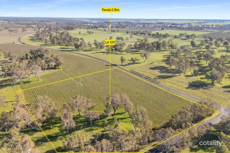 Property photo of 108 Dergholm Road Penola SA 5277