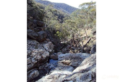 Property photo of 3951 Wells Access Road Wattle Flat NSW 2795