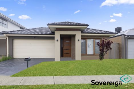 41 Warmbrunn Cres, Berwick, VIC 3806