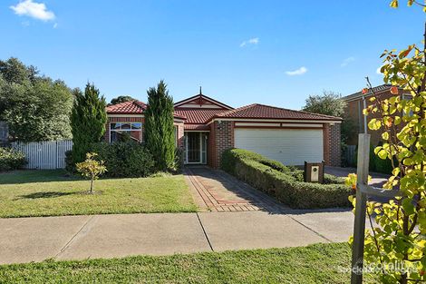 Property photo of 12 Tetila Avenue Grovedale VIC 3216