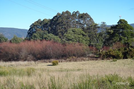 1 Newman St, St Marys, TAS 7215