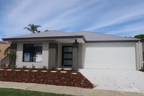 179 Ravenscar St, Doubleview, WA 6018