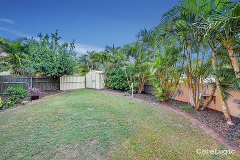 Property photo of 6 Tamarisk Way Drewvale QLD 4116