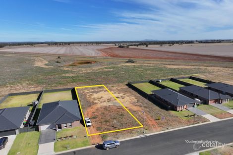 31 Federation Bvd, Forbes, NSW 2871