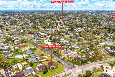Property photo of 1 Popondetta Road Emerton NSW 2770