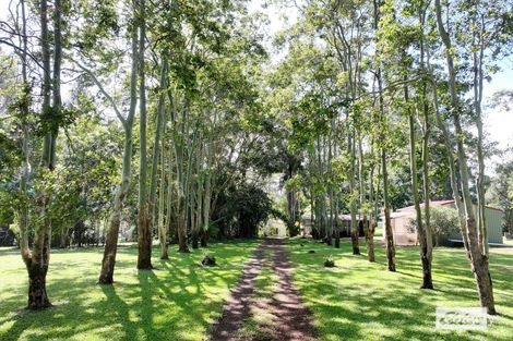 28 Imrie Cl, Lake Eacham, QLD 4884