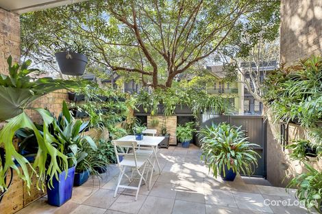 Property photo of 3/453-465 Bourke Street Surry Hills NSW 2010