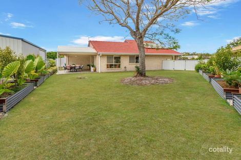 Property photo of 16 Cobea Court Bongaree QLD 4507