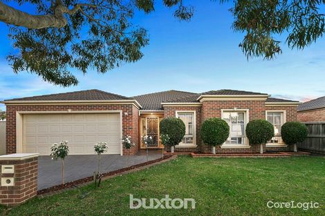 Property photo of 4 Palmtree Place Aspendale Gardens VIC 3195