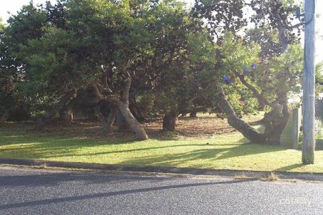 21 Williams Cres, Wooli, NSW 2462