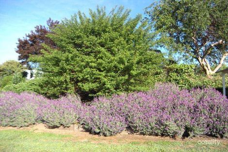 Property photo of 899 Ophir Road Rock Forest NSW 2795