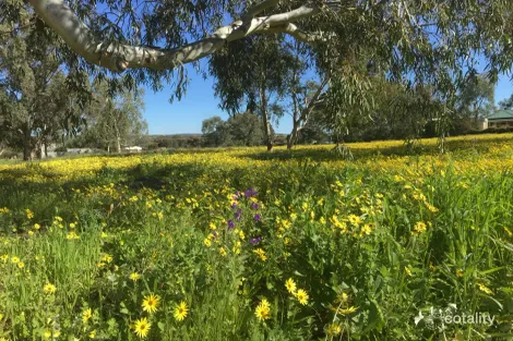 8 Mount St, York, WA 6302