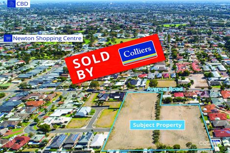 Property photo of 43 Avenue Road Paradise SA 5075