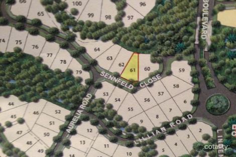 Property photo of 10 Sennfeld Close Palm Cove QLD 4879