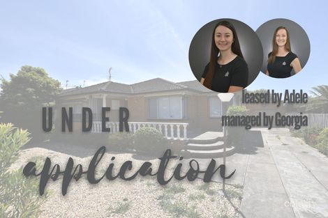 Property photo of 6 Peer Street Moe VIC 3825