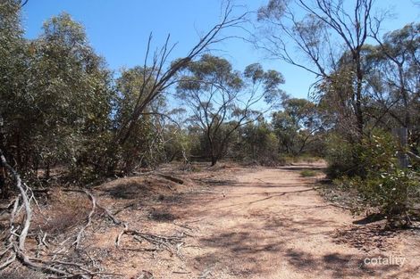 Property photo of 12-14 Morrow Street Inglewood VIC 3517