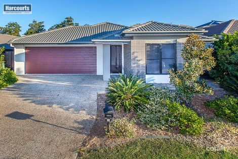 Property photo of 26 Spearmint Street Griffin QLD 4503