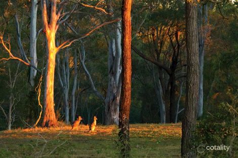 Lot 112 Arundel Springs Ave, Arundel, QLD 4214