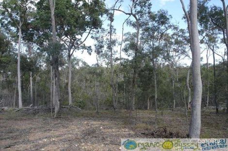 Property photo of 163 Cross Road Euleilah QLD 4674