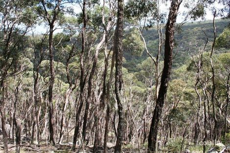 955 Tablelands Rd, Red Range, NSW 2370