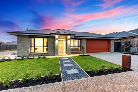 Property photo of 8 Caloria Street Angle Vale SA 5117