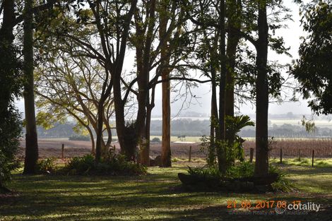 Property photo of 232 Tate Road Tolga QLD 4882