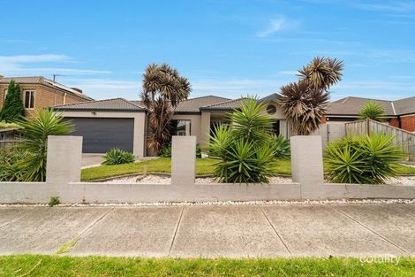 Property photo of 8 Oconnell Street Berwick VIC 3806
