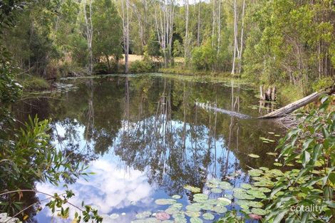 832 Smiths Creek Rd, Stokers Siding, NSW 2484