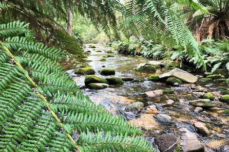 24 Fitzgeralds Rd, Goulds Country, TAS 7216