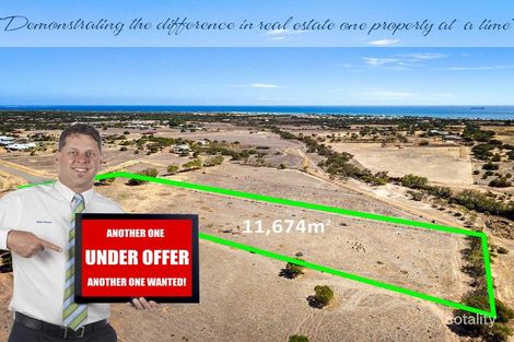 48 Stirling Pl, Waggrakine, WA 6530